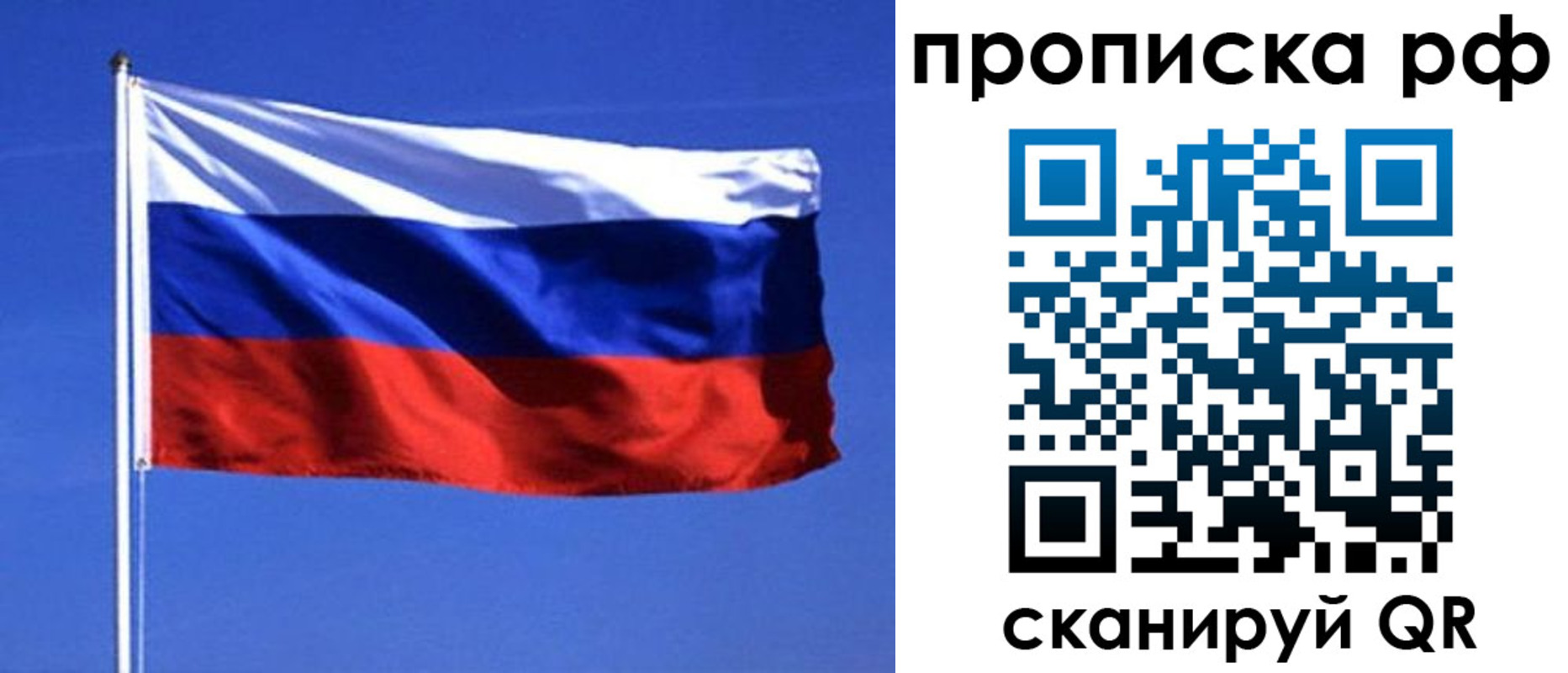 прописка иностранных граждан в Курской области