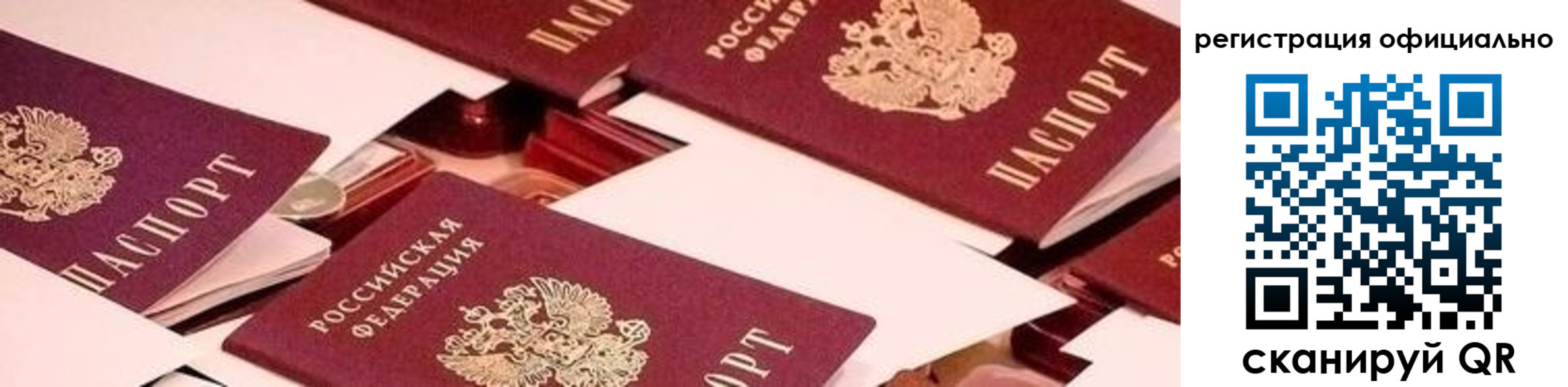 прописка для школы в Курской области